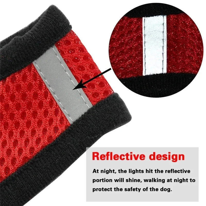 Cat Vest Harness with Lead Leash For Small Dogs and Cats, Polyester, Adjustable, Mesh