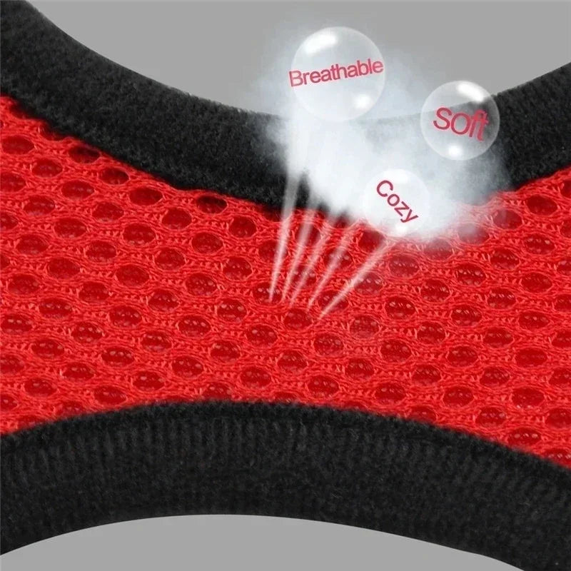 Cat Vest Harness with Lead Leash For Small Dogs and Cats, Polyester, Adjustable, Mesh