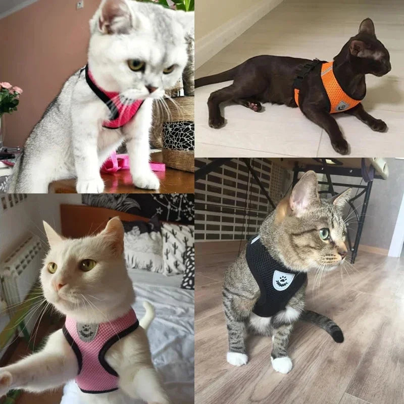 Cat Vest Harness with Lead Leash For Small Dogs and Cats, Polyester, Adjustable, Mesh