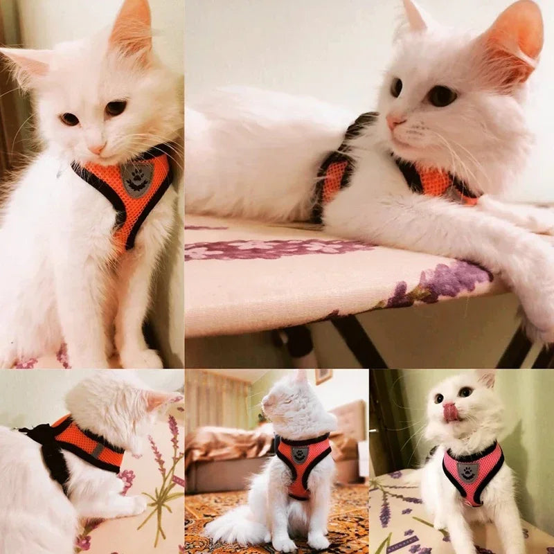 Cat Vest Harness with Lead Leash For Small Dogs and Cats, Polyester, Adjustable, Mesh