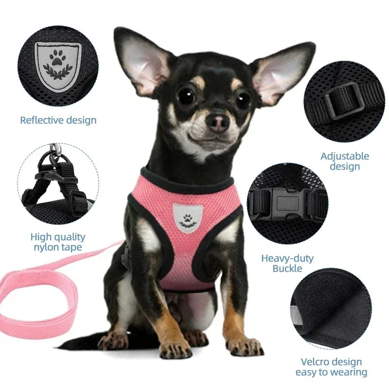 Cat Vest Harness with Lead Leash For Small Dogs and Cats, Polyester, Adjustable, Mesh