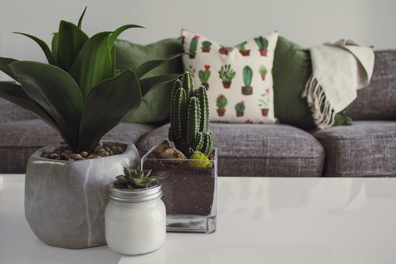 General Decor