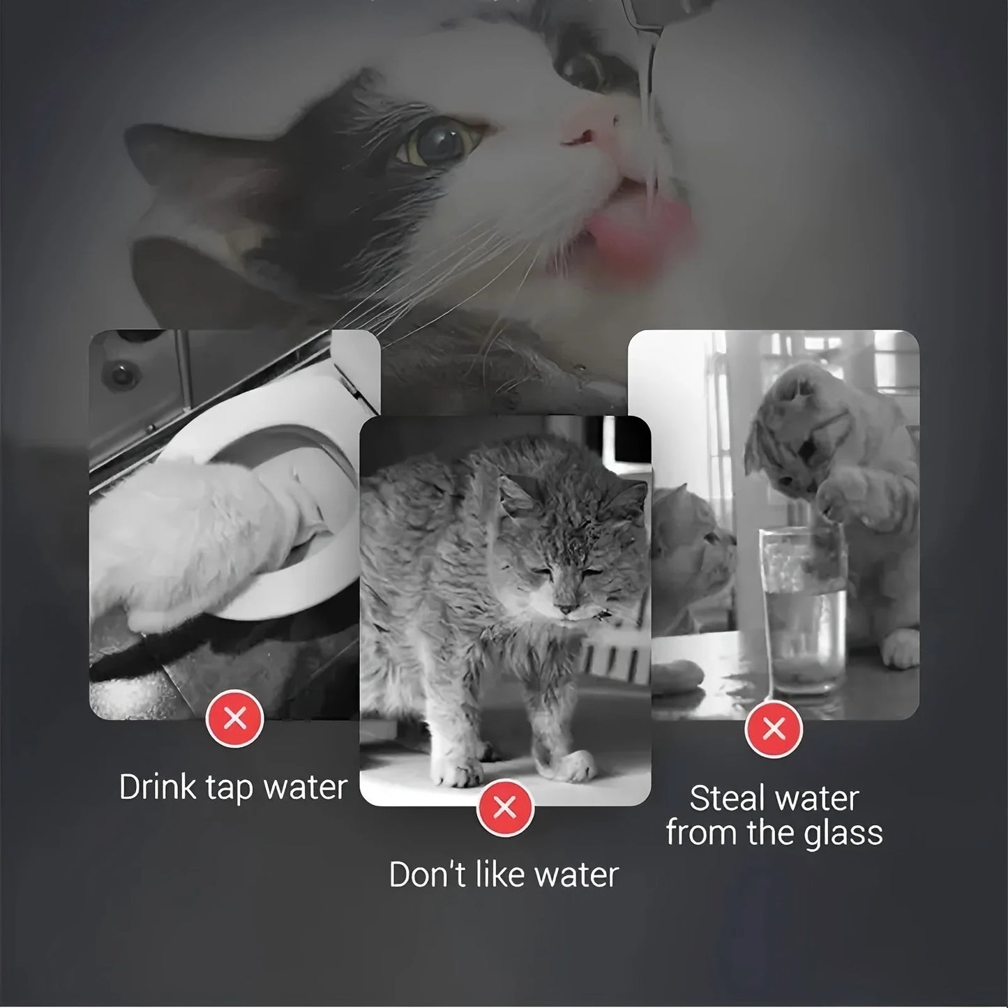 Smart Pet Water Dispenser - 1.8L, Transparent, Faucet, Filter, for Cats and Dogs