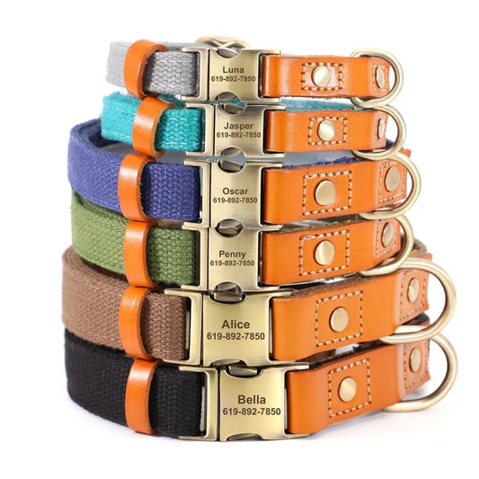 Nylon Custom Dog Collar and Leash Set, Nameplate ID Tag, Genuine Leather